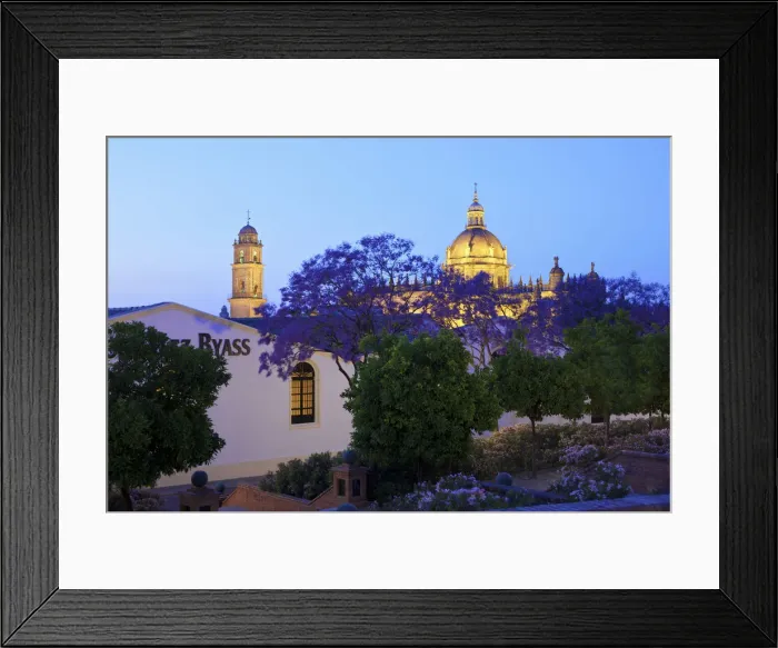 Framed Print : Bodegas Tio Pepe and The Cathedral of San Salvador at Dusk, Jerez de la Frontera