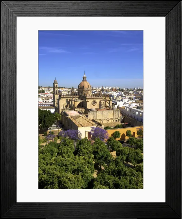 Framed Print : The Cathedral of San Salvador with Blossoming Jacaranda Trees, Jerez de la Frontera Framed Print : The Cathedral of San Salvador with Blossoming Jacaranda Trees, Jerez de la Frontera