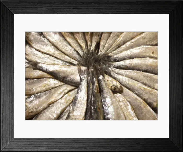 Framed Print : Fish for sale in the La Boqueria Market, Barcelona, Spain Framed Print : Fish for sale in the La Boqueria Market, Barcelona, Spain