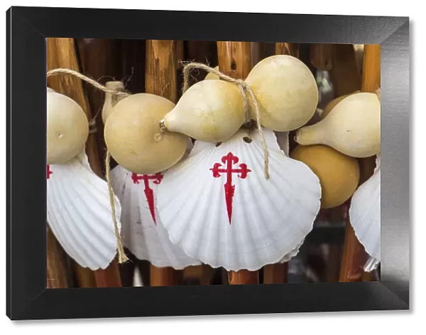 Scallop shell & walking sticks, symbol of The Camino de Santiago pilgrimage walk