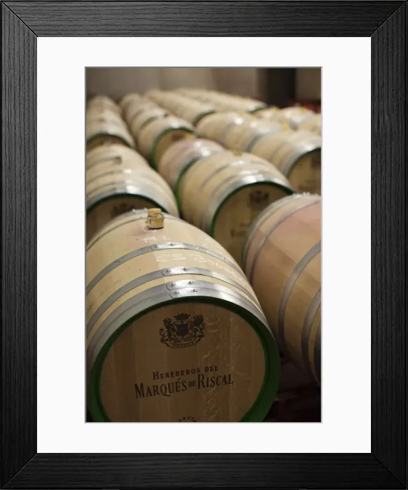 Framed Print : Spain, La Rioja Area, Alava Province, Elciego, Bodega Marques de Riscal winery, wine