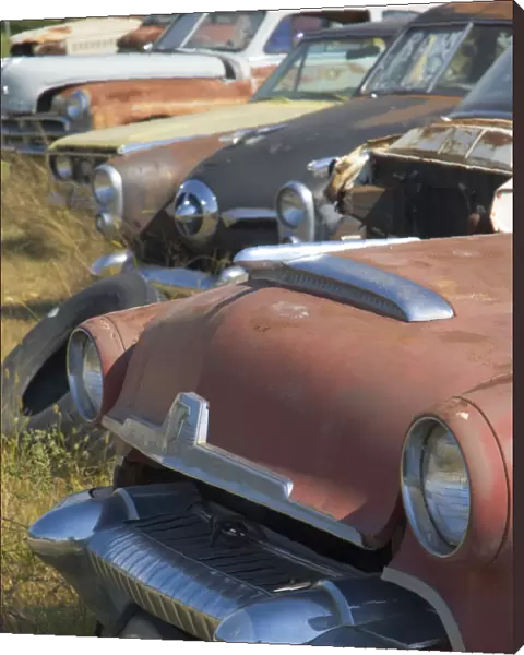 USA, Oklahoma, Route 66, White Oak, Old cars in wreckers yard beside Route 66