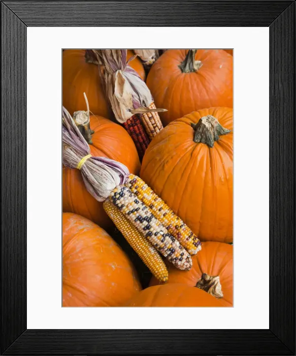 Framed Print : USA, West Virginia, Charleston, Capitol Market, pumpkins and Indian corn Framed Print : USA, West Virginia, Charleston, Capitol Market, pumpkins and Indian corn