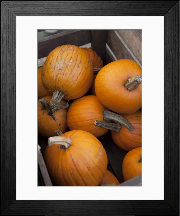 Framed Print : Farmers market at Union Square, Manhattan, New York City, USA