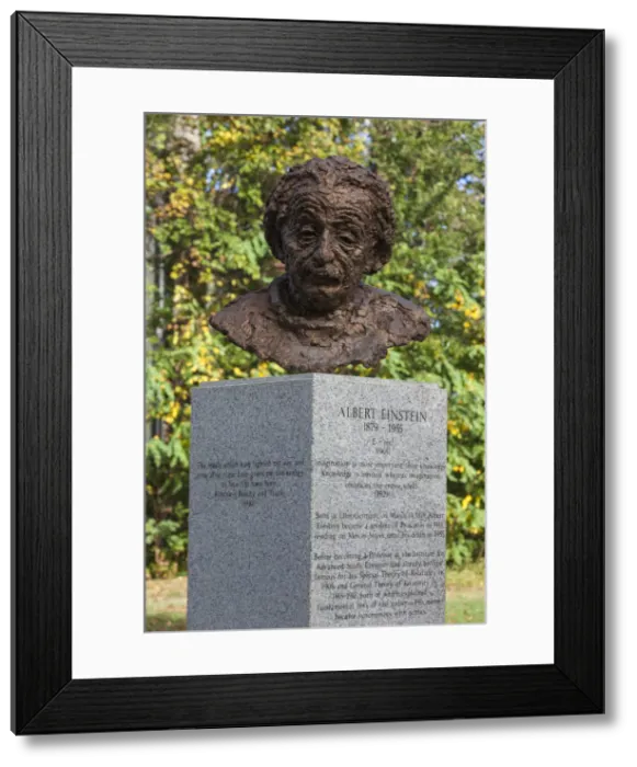 Framed Print : USA, New Jersey, Princeton, Albert Einstein statue Framed Print : USA, New Jersey, Princeton, Albert Einstein statue