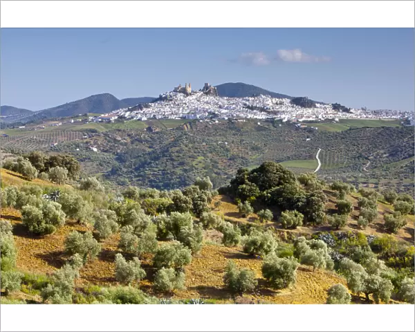 Elevated view towards the hilltop town of Olvera, Olvera, Cadiz Province, Andalusia