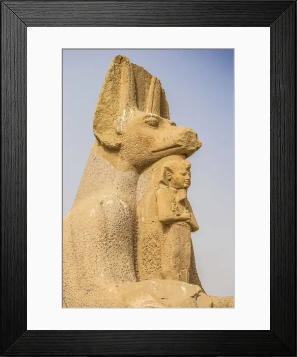 Framed Print : Egypt, Luxor, West Bank, Sphinx at the Temple of Ramessess 11 known as The Ramesseum