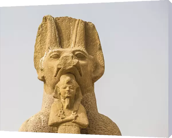 Egypt, Luxor, West Bank, Sphinx at the Temple of Ramessess 11 known as The Ramesseum