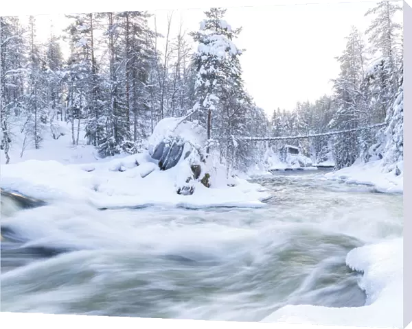 Myllykoski rapids, Juuma, Oulankajoki National Park, Kuusamo, Finland