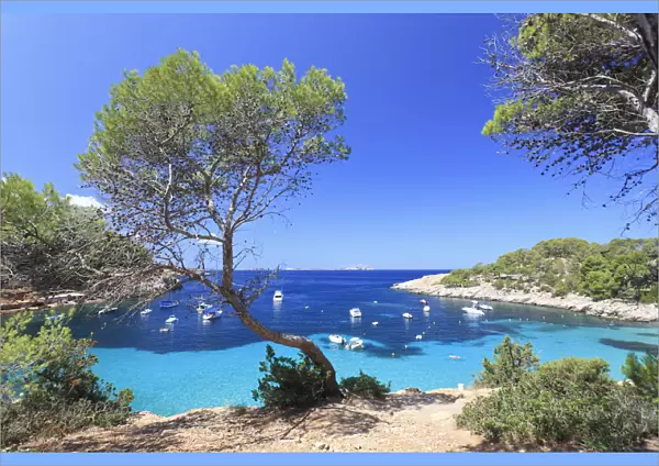 Spain, Balearic Islands, Ibiza, Cala Salada Beach