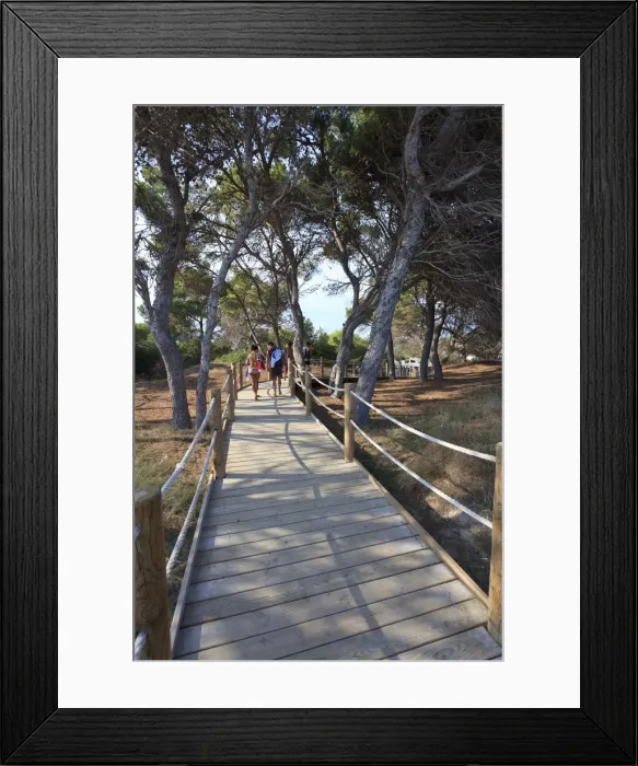 Framed Print : Spain, Balearic Islands, Ibiza, pathway to Platja de Ses Salines Beach Framed Print : Spain, Balearic Islands, Ibiza, pathway to Platja de Ses Salines Beach