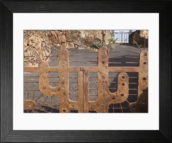 Framed Print : Spain, Canary Islands, Lanzarote, Guatiza, Jardin de Cactus, botanical park designed Framed Print : Spain, Canary Islands, Lanzarote, Guatiza, Jardin de Cactus, botanical park designed