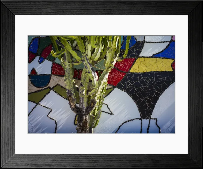 Framed Print : Spain, Canary Islands, Lanzarote, Tahiche, Fundacion Cesar Manrique, outdoor patio Framed Print : Spain, Canary Islands, Lanzarote, Tahiche, Fundacion Cesar Manrique, outdoor patio