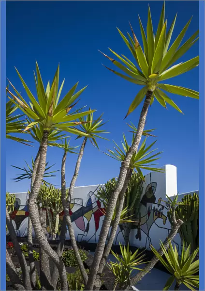 Spain, Canary Islands, Lanzarote, Tahiche, Fundacion Cesar Manrique, outdoor patio