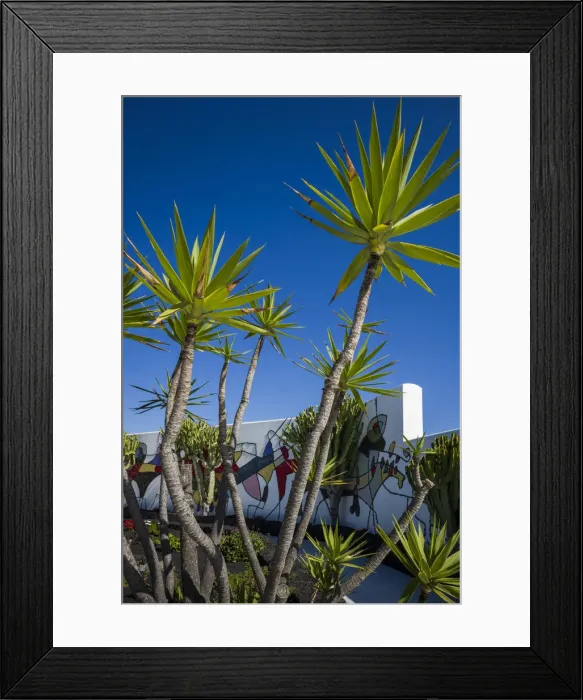 Framed Print : Spain, Canary Islands, Lanzarote, Tahiche, Fundacion Cesar Manrique, outdoor patio Framed Print : Spain, Canary Islands, Lanzarote, Tahiche, Fundacion Cesar Manrique, outdoor patio