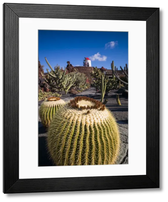 Framed Print : Spain, Canary Islands, Lanzarote, Guatiza, Jardin de Cactus, botanical park designed Framed Print : Spain, Canary Islands, Lanzarote, Guatiza, Jardin de Cactus, botanical park designed