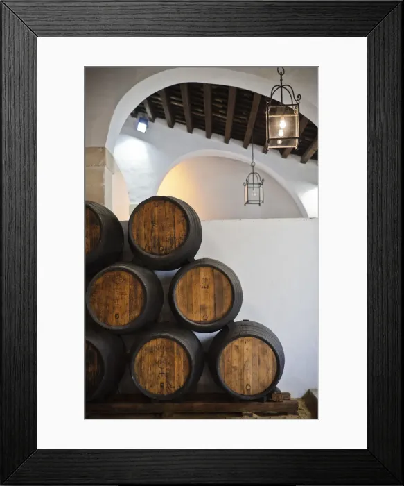 Framed Print : Spain, Andalucia Region, Cadiz Province, Sherry Triangle Area, Jerez de la Frontera Framed Print : Spain, Andalucia Region, Cadiz Province, Sherry Triangle Area, Jerez de la Frontera