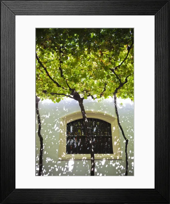 Framed Print : Spain, Andalucia Region, Cadiz Province, Sherry Triangle Area, Jerez de la Frontera