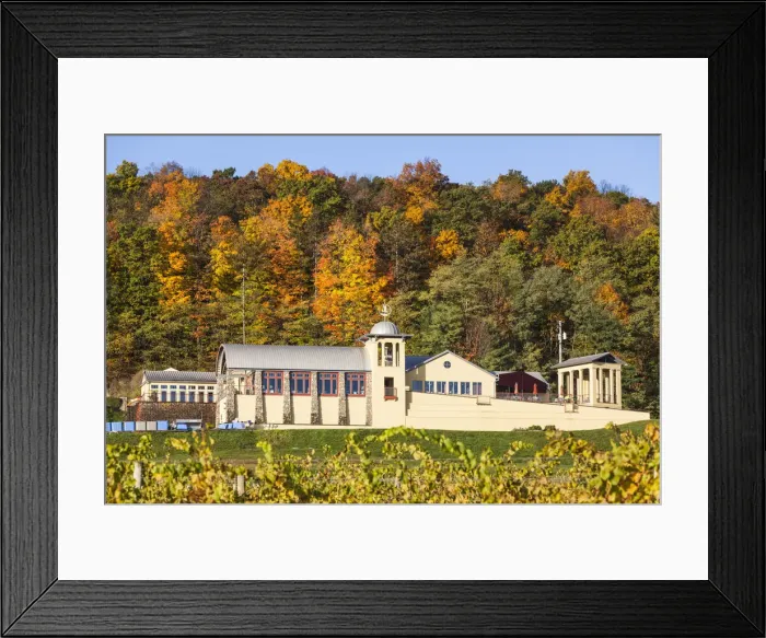 Framed Print : USA, New York, Finger Lakes Region, Hammondsport, Heron Hill Winery, autumn Framed Print : USA, New York, Finger Lakes Region, Hammondsport, Heron Hill Winery, autumn