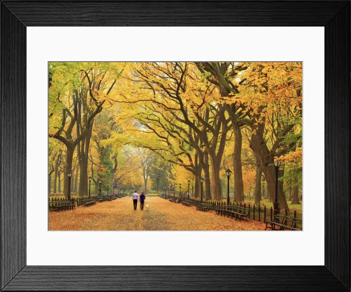 Framed Print : USA, New York City, Manhattan, Central Park, The Mall Framed Print : USA, New York City, Manhattan, Central Park, The Mall