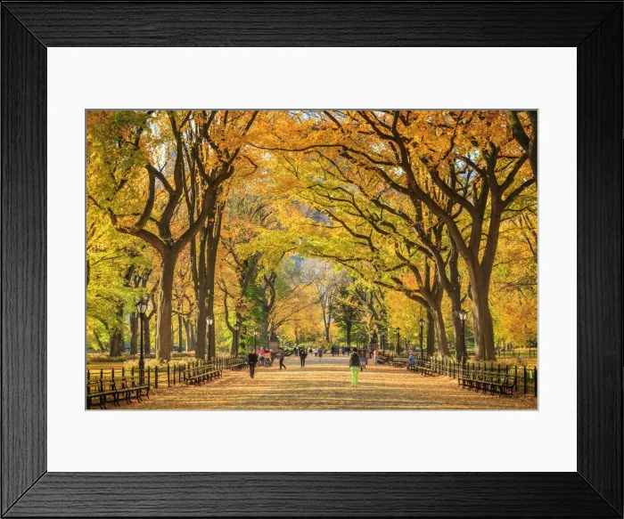 Framed Print : USA, New York City, Manhattan, Central Park, The Mall