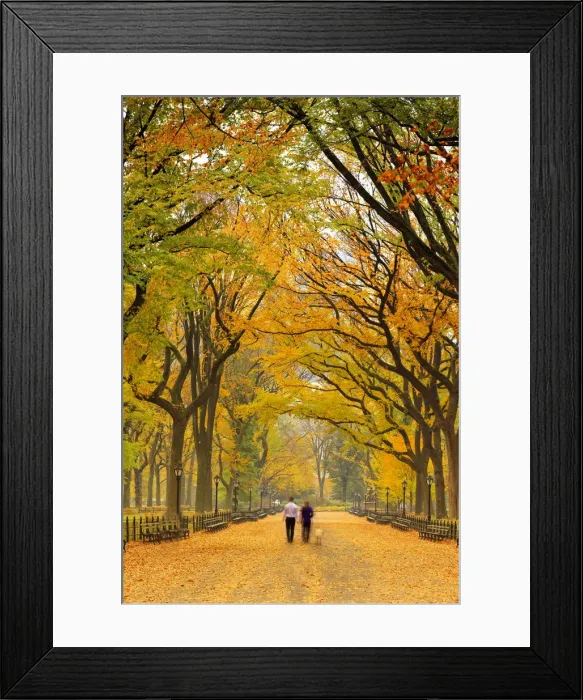 Framed Print : USA, New York City, Manhattan, Central Park, The Mall