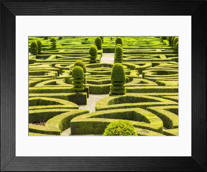 Framed Print : Formal gardens, Chateau of Villandry, Indre et Loire, Loire Valley, France Framed Print : Formal gardens, Chateau of Villandry, Indre et Loire, Loire Valley, France
