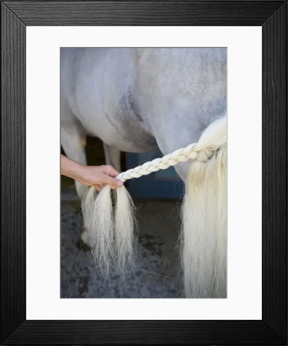 Framed Print : Napoleonic Stud Farm, Tarbes, Midi Pyrenees, France Framed Print : Napoleonic Stud Farm, Tarbes, Midi Pyrenees, France