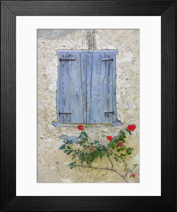 Framed Print : Window Shutters & Roses, Roquefixade, Ariege, Midi-Pyrenees, France Framed Print : Window Shutters & Roses, Roquefixade, Ariege, Midi-Pyrenees, France