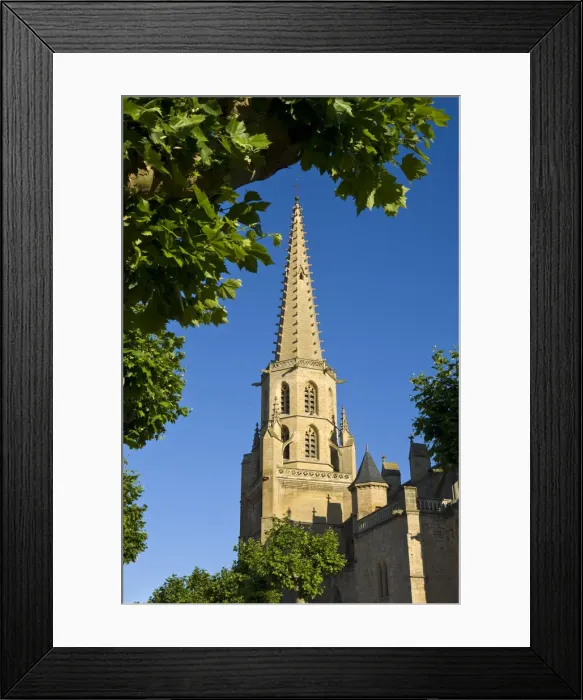 Framed Print : Cathedral, Mirepoix, Ariege, Midi-Pyrenees, France Framed Print : Cathedral, Mirepoix, Ariege, Midi-Pyrenees, France