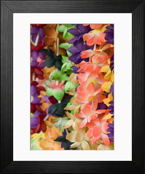 Framed Print : Vanuatu, Efate Island Port Vila, Waterfront Market- flower leis Framed Print : Vanuatu, Efate Island Port Vila, Waterfront Market- flower leis