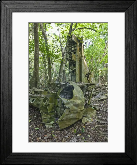 Framed Print : Vanuatu, Espiritu Santo Island Luganville, WW2 B-17 Bomber Wreck by Million Dollar Point Framed Print : Vanuatu, Espiritu Santo Island Luganville, WW2 B-17 Bomber Wreck by Million Dollar Point