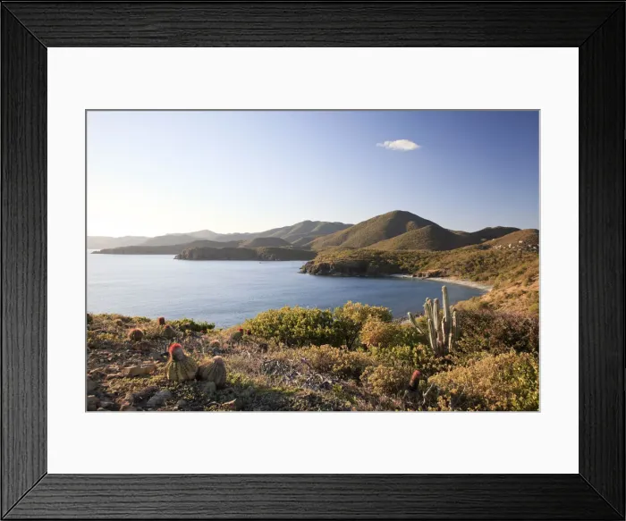 Framed Print : Caribbean, US Virgin Islands, St. John, Virgin Islands National Park, Salt Pond Trail Framed Print : Caribbean, US Virgin Islands, St. John, Virgin Islands National Park, Salt Pond Trail