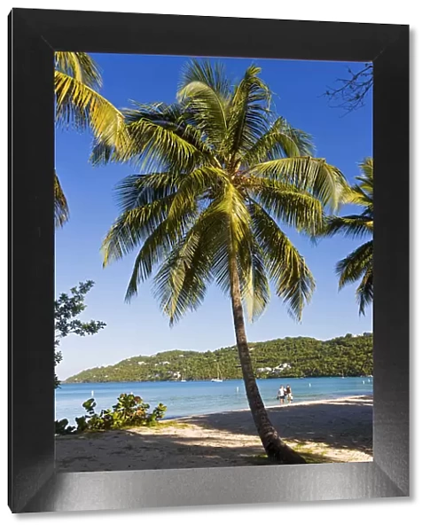 Caribbean, US Virgin Islands, St. Thomas, Palms and beach at Magens Bay, the most
