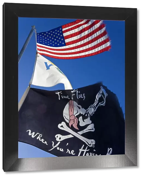 Caribbean, US Virgin Islands, St. Thomas, flags flying over Blackbeards Castle