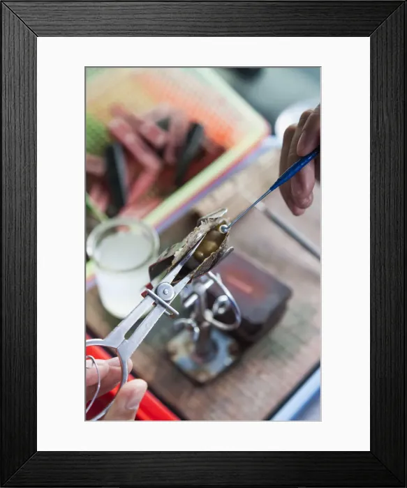Framed Print : Vietnam, Halong Bay, floating cultured pearl farm, oyster with seed