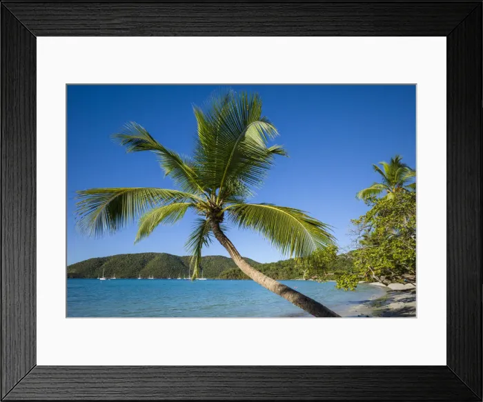 Framed Print : U. S. Virgin Islands, St. John, Trunk Bay, Trunk Bay Beach Framed Print : U. S. Virgin Islands, St. John, Trunk Bay, Trunk Bay Beach