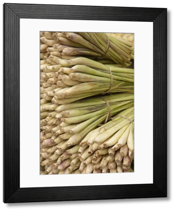Framed Print : Lemongrass in market in the Old Quarter, Hanoi, Vietnam Framed Print : Lemongrass in market in the Old Quarter, Hanoi, Vietnam