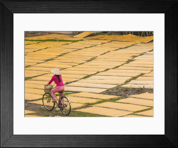 Framed Print : Cycling past drying sheets of Mien noodle, nr Hanoi, Vietnam Framed Print : Cycling past drying sheets of Mien noodle, nr Hanoi, Vietnam