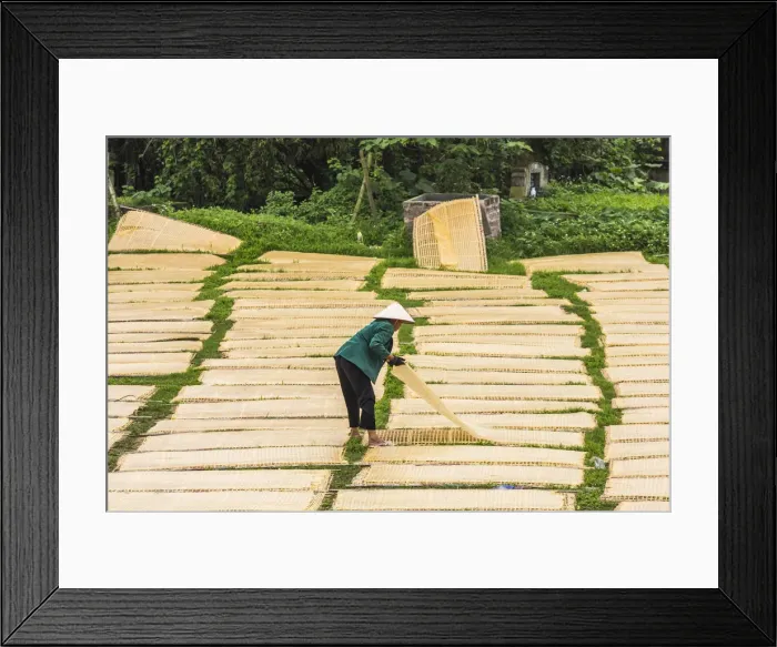 Framed Print : Sheets of drying mien noodle, nr Hanoi, Vietnam