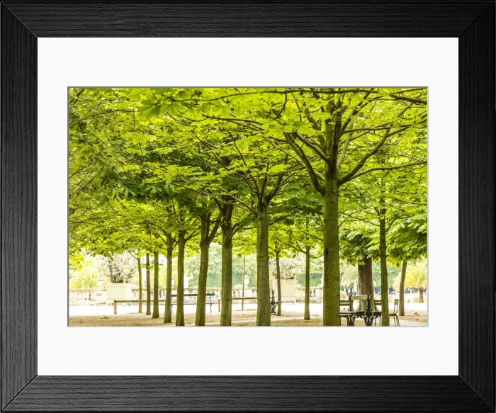 Framed Print : Palais du Luxembourg, Paris, France Framed Print : Palais du Luxembourg, Paris, France