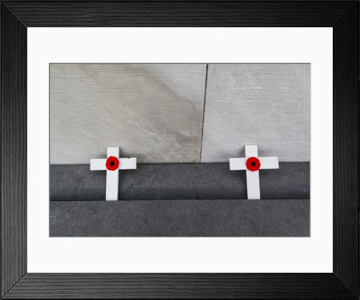 Framed Print : France, Nord-Pas de Calais Region, Vimy, Vimy Ridge National Historic Site of Canada Framed Print : France, Nord-Pas de Calais Region, Vimy, Vimy Ridge National Historic Site of Canada