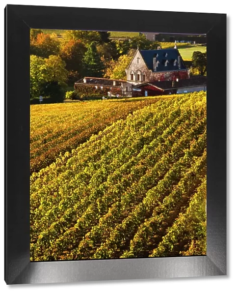 France, Aquitaine Region, Gironde Department, St-Emilion, wine town, UNESCO-listed
