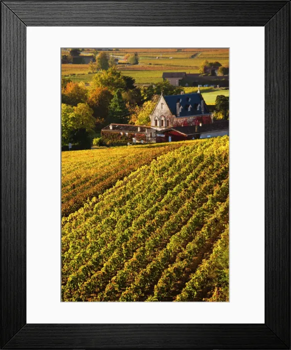 Framed Print : France, Aquitaine Region, Gironde Department, St-Emilion, wine town, UNESCO-listed Framed Print : France, Aquitaine Region, Gironde Department, St-Emilion, wine town, UNESCO-listed