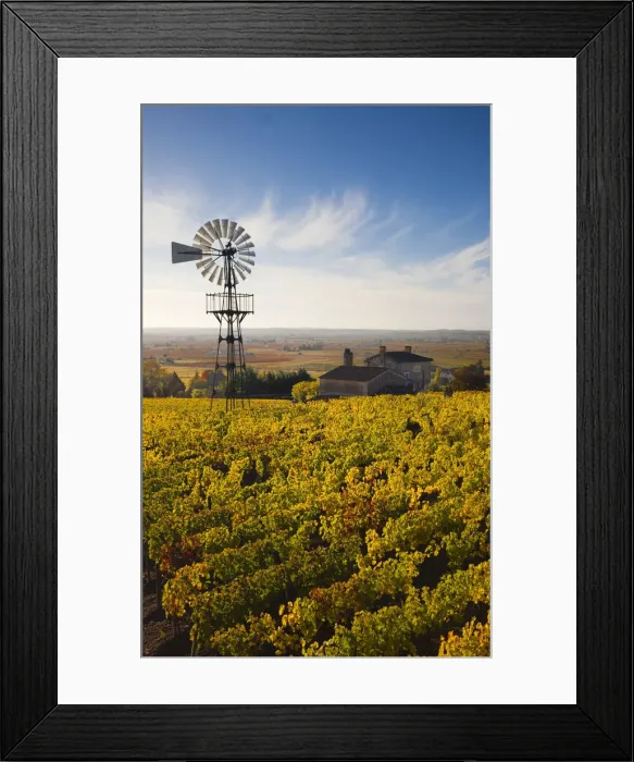 Framed Print : October 2010 Framed Print : October 2010