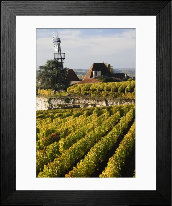 Framed Print : France, Aquitaine Region, Gironde Department, St-Emilion, wine town, UNESCO-listed Framed Print : France, Aquitaine Region, Gironde Department, St-Emilion, wine town, UNESCO-listed