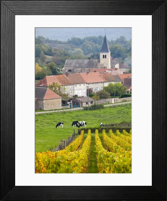 Framed Print : France, Saone-et-Loire Department, Burgundy Region, Maconnais Area, Ozenay Framed Print : France, Saone-et-Loire Department, Burgundy Region, Maconnais Area, Ozenay