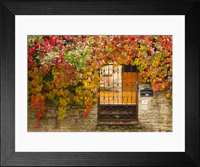 Framed Print : France, Midi-Pyrenees Region, Tarn Department, Cordes-sur-Ciel, gate with autumn foliage Framed Print : France, Midi-Pyrenees Region, Tarn Department, Cordes-sur-Ciel, gate with autumn foliage