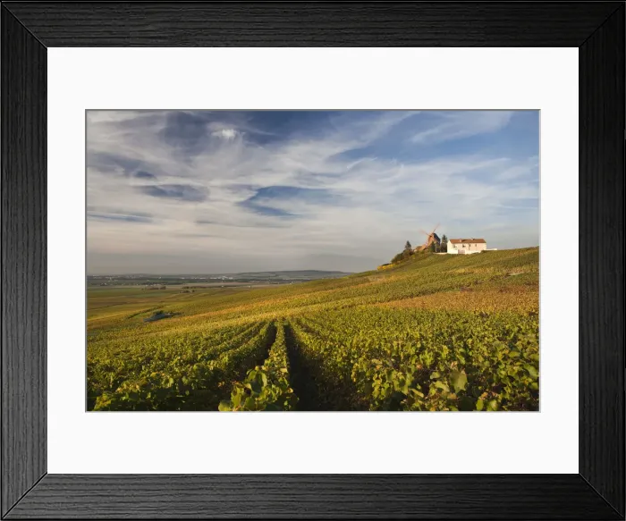 Framed Print : France, Marne, Champagne Ardenne, Verzenay, windmill and vineyards Framed Print : France, Marne, Champagne Ardenne, Verzenay, windmill and vineyards