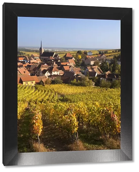 France, Bas-Rhin, Alsace Region, Alasatian Wine Route, Blienschwiller, town overview